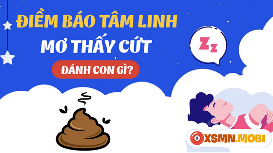 Mua con số mấy nếu chiêm bao thấy cứt?