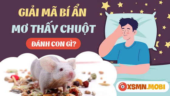 Mua số gì đẹp khi ngủ mơ thấy chuột?