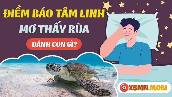 Mua số mấy khi nằm mơ thấy con rùa?