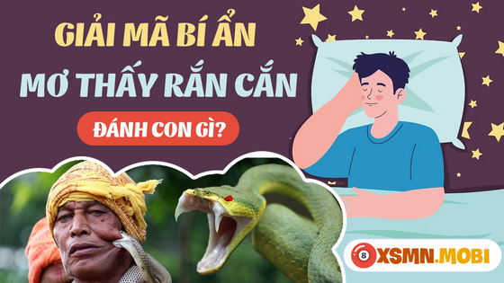 Mua số mấy trúng lớn khi nằm mơ thấy bị rắn cắn?