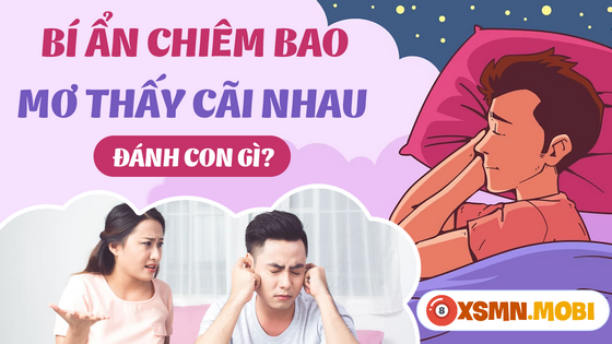 Đánh lô đề bao nhiêu khi mơ ngủ thấy cãi nhau