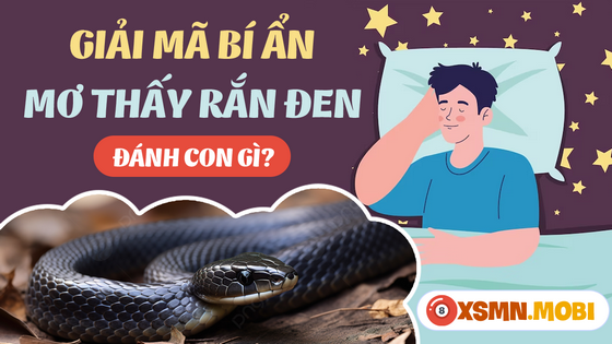 Mua số nào khi mơ thấy rắn đen?