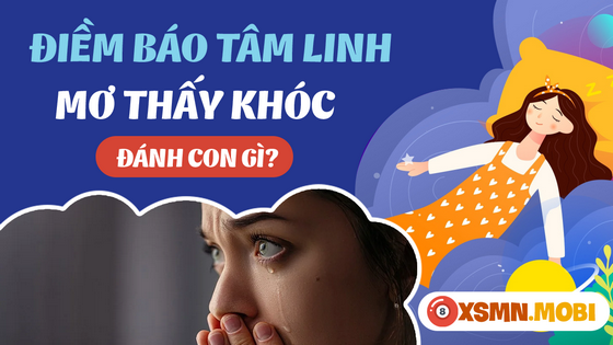 Nằm mơ thấy khóc ra con số gì?