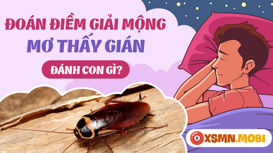 Mua số gì dễ trúng độc đắc khi nằm mơ thấy gián?