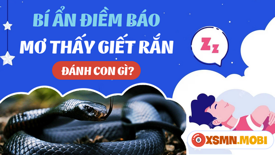 Mua con số gì khi chiêm bao thấy giết rắn?