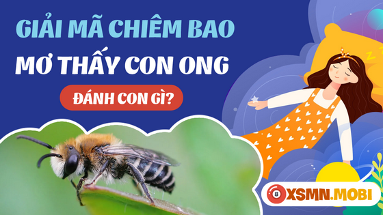 Mơ thấy ong đánh lô đề bao nhiêu?