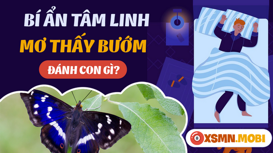 Mua số gì đẹp khi có giấc mơ thấy con bươm bướm?