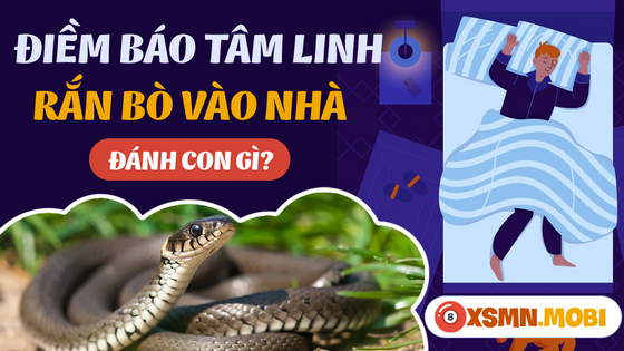 Nên mua số nào khi nằm mơ thấy con rắn bò vào nhà?