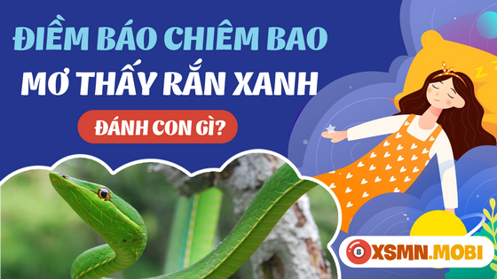 Mơ thấy rắn màu xanh nên đánh con số nào dễ thắng cược?