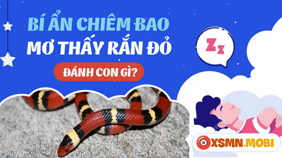 Nằm mơ thấy rắn đỏ đánh số đề bao nhiêu?