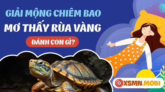 Nằm ngủ mơ thấy rùa vàng thử vận may với con số nào?