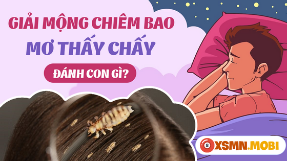 Mơ thấy chấy gợi ra con số may mắn gì?